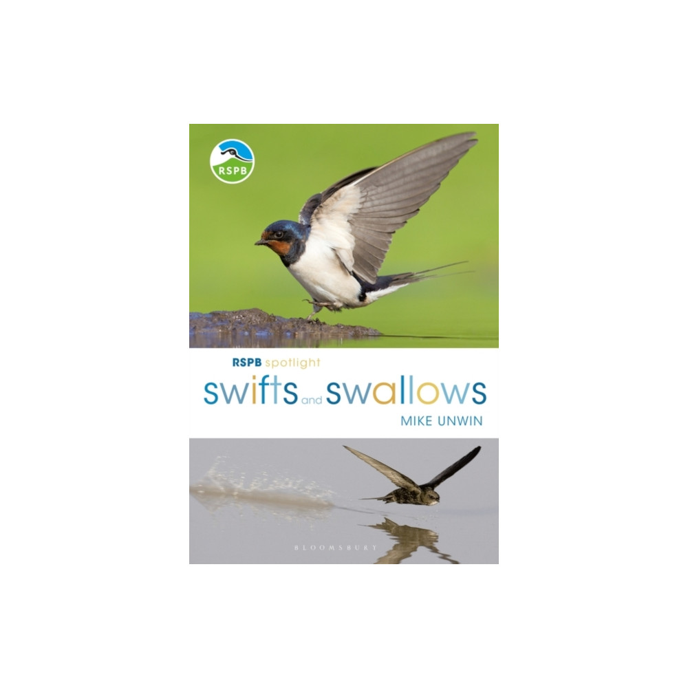Produktbild för RSPB Spotlight Swifts and Swallows (häftad, eng)