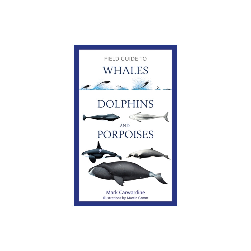 Produktbild för Field Guide to Whales, Dolphins and Porpoises (häftad, eng)