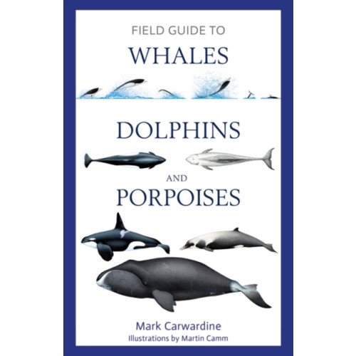 Bloomsbury Publishing PLC Field Guide to Whales, Dolphins and Porpoises (häftad, eng)