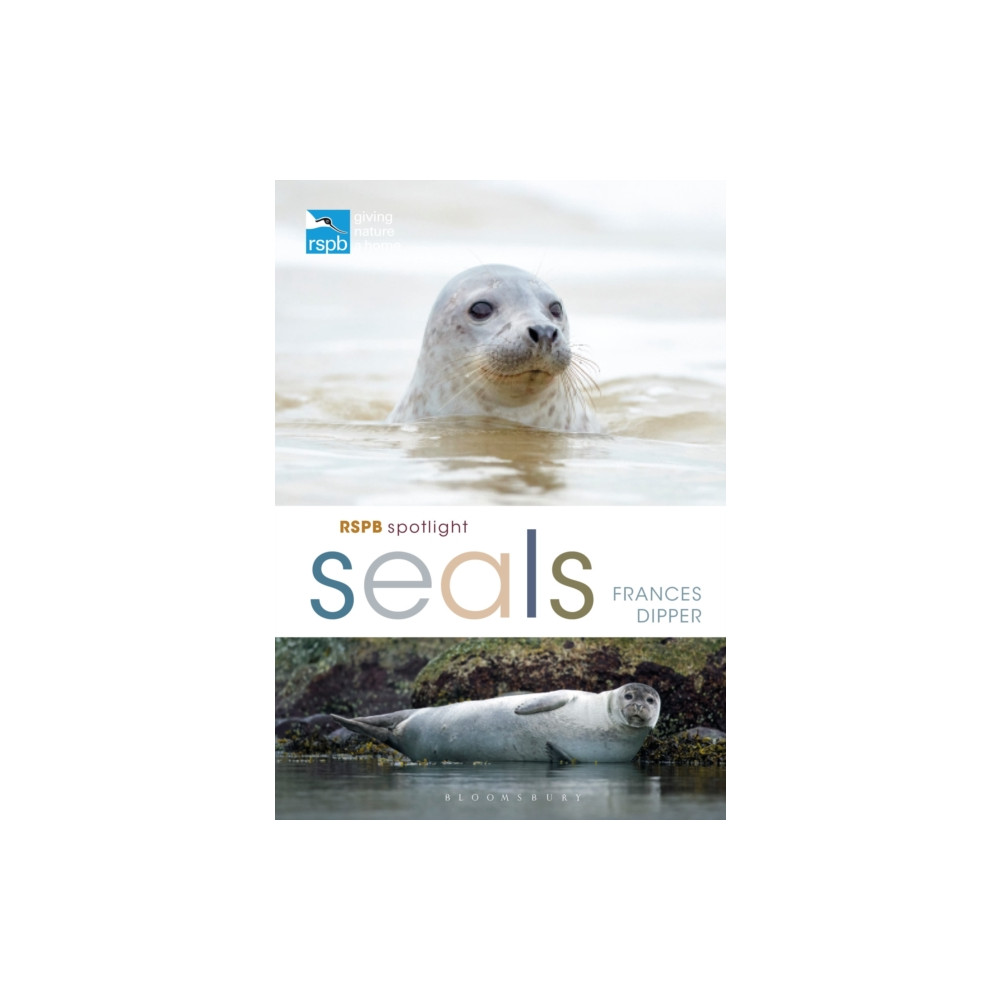 Produktbild för RSPB Spotlight Seals (häftad, eng)