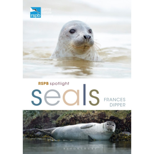 Bloomsbury Publishing PLC RSPB Spotlight Seals (häftad, eng)