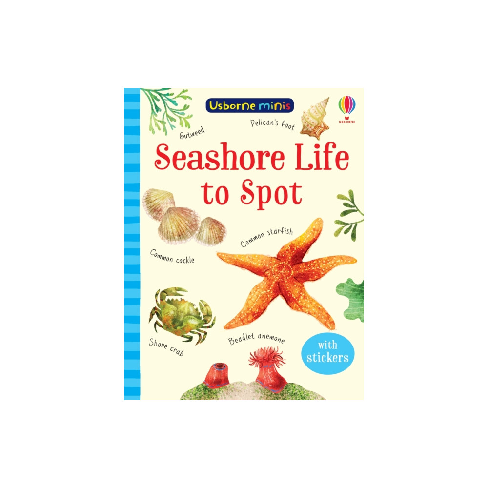 Produktbild för Seashore Life to Spot (häftad, eng)