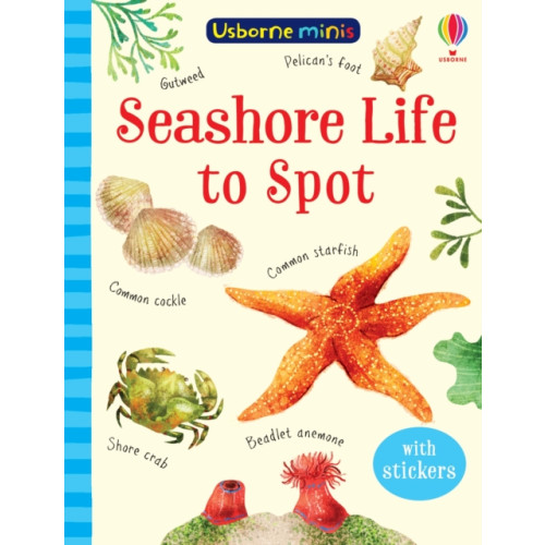 Usborne Publishing Ltd Seashore Life to Spot (häftad, eng)