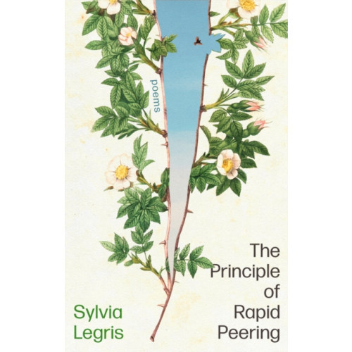 Little, Brown Book Group The Principle of Rapid Peering (häftad, eng)