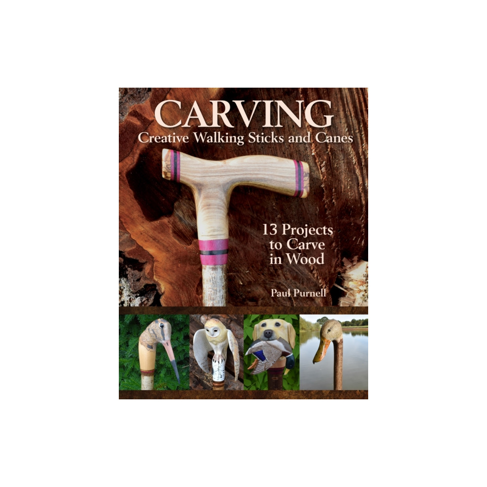 Produktbild för Carving Creative Walking Sticks and Canes (häftad, eng)