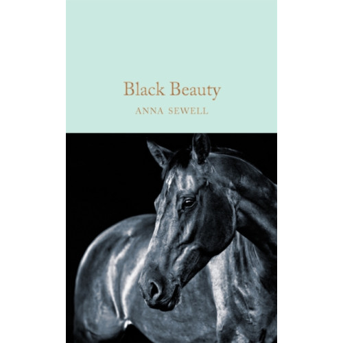 Pan Macmillan Black Beauty (inbunden, eng)
