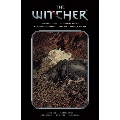 Dark Horse Comics,U.S. The Witcher Library Edition Volume 2 (inbunden, eng)