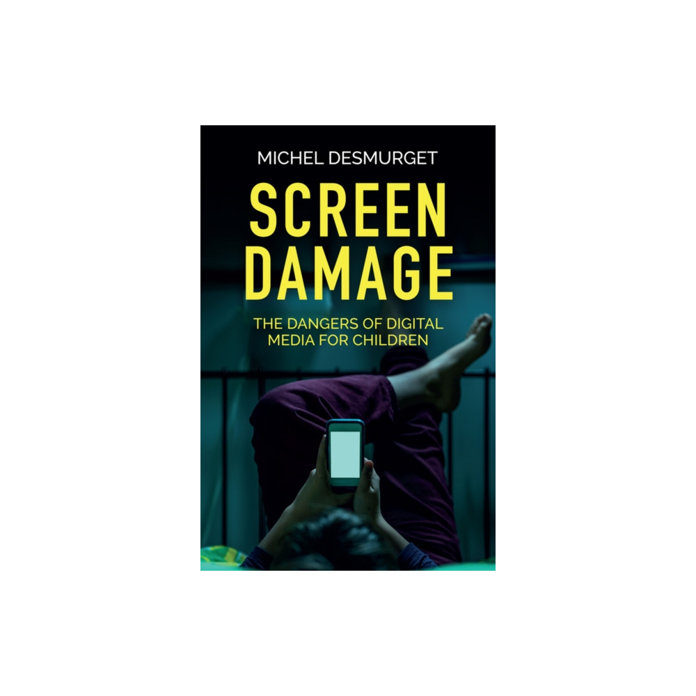 Produktbild för Screen Damage (häftad, eng)