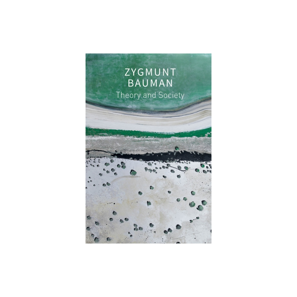 Produktbild för Theory and Society (häftad, eng)