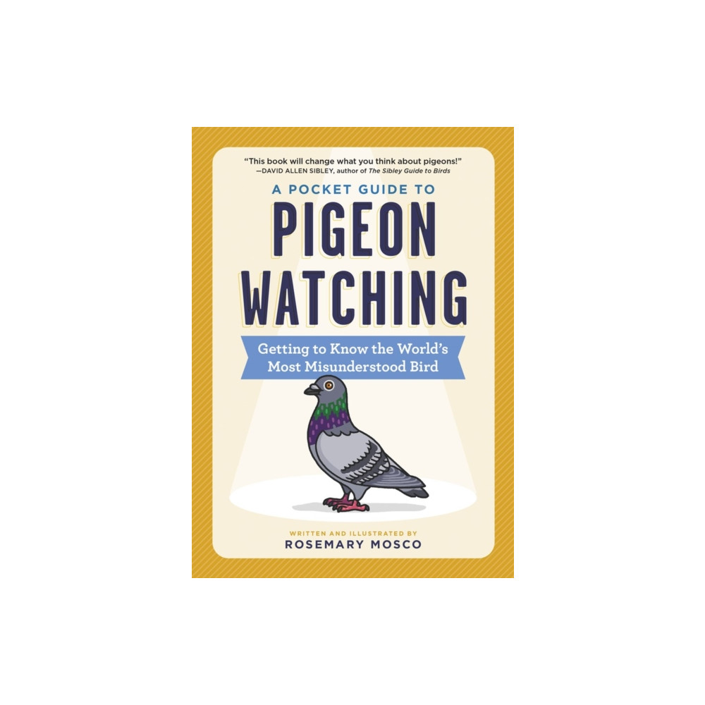Produktbild för A Pocket Guide to Pigeon Watching (häftad, eng)
