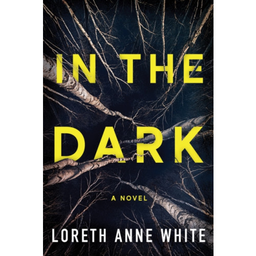 Amazon Publishing In the Dark (häftad, eng)