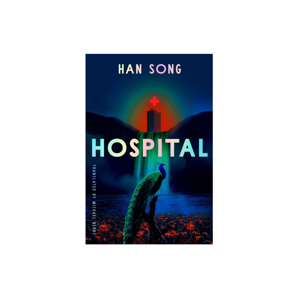 Produktbild för Hospital (häftad, eng)