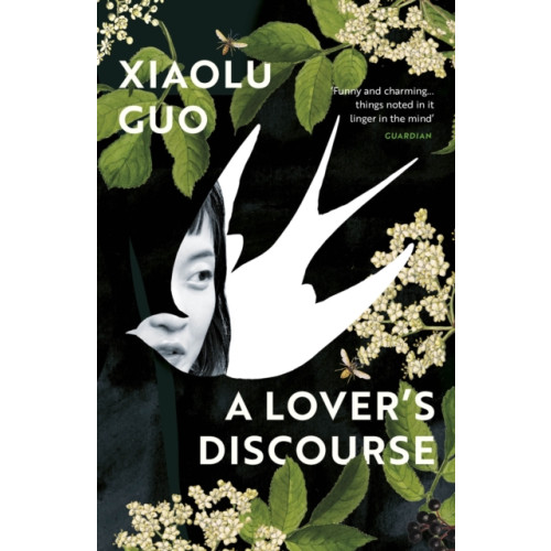 Vintage Publishing A Lover's Discourse (häftad, eng)