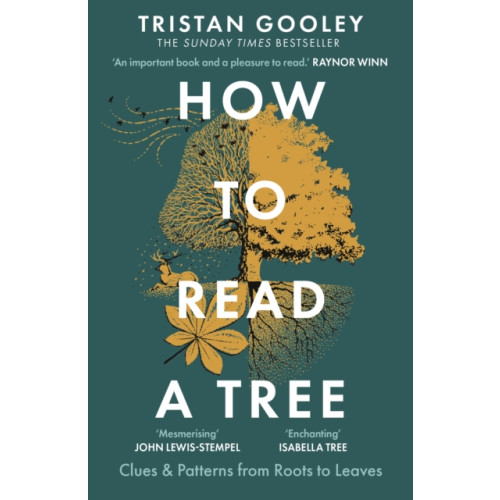Hodder & Stoughton How to Read a Tree (häftad, eng)