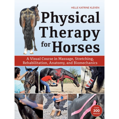 Trafalgar Square Physical Therapy for Horses (inbunden, eng)