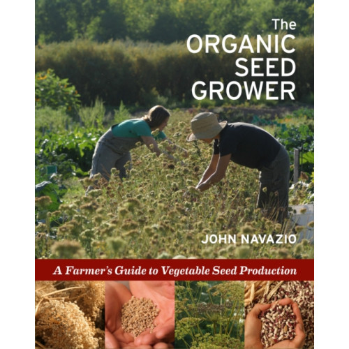 Chelsea Green Publishing Co The Organic Seed Grower (häftad, eng)