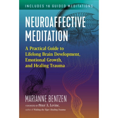 Inner Traditions Bear and Company Neuroaffective Meditation (häftad, eng)