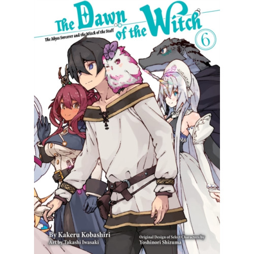 Vertical Inc. The Dawn of the Witch 6 (light novel) (häftad, eng)