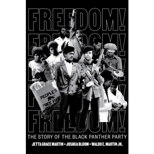 Levine Querido Freedom! The Story of the Black Panther Party (inbunden, eng)