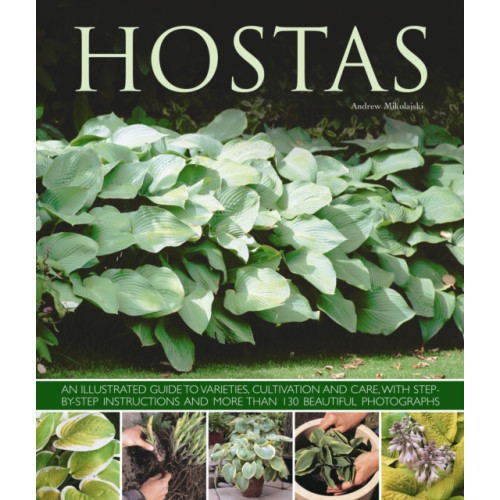 Anness publishing Hostas (häftad, eng)