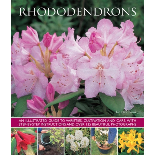 Anness publishing Rhododendrons (häftad, eng)