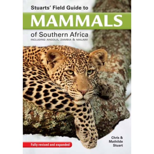 Penguin Random House South Africa Stuarts' Field Guide to Mammals of Southern Africa (häftad, eng)