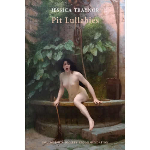 Bloodaxe Books Ltd Pit Lullabies (häftad, eng)