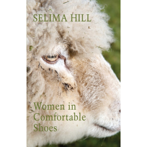 Bloodaxe Books Ltd Women in Comfortable Shoes (häftad, eng)