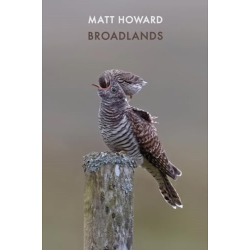 Bloodaxe Books Ltd Broadlands (häftad, eng)