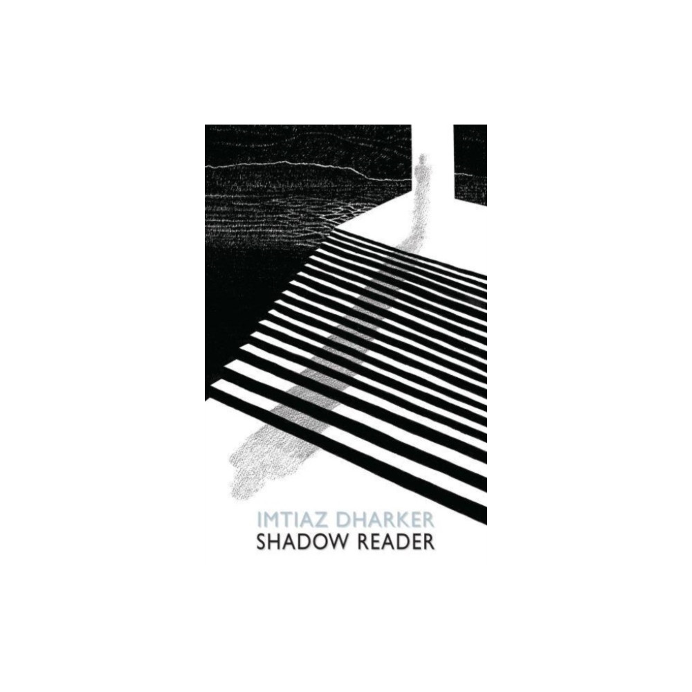 Produktbild för Shadow Reader (häftad, eng)