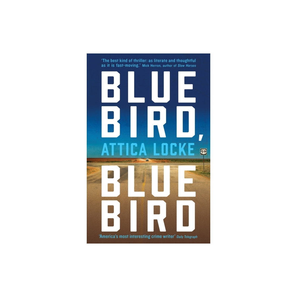 Produktbild för Bluebird, Bluebird (häftad, eng)