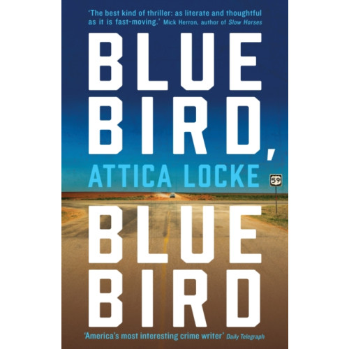 Profile Books Ltd Bluebird, Bluebird (häftad, eng)
