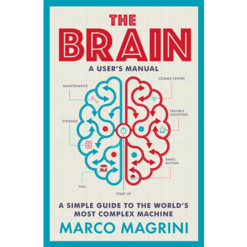 Octopus publishing group The Brain: A User's Manual (häftad, eng)