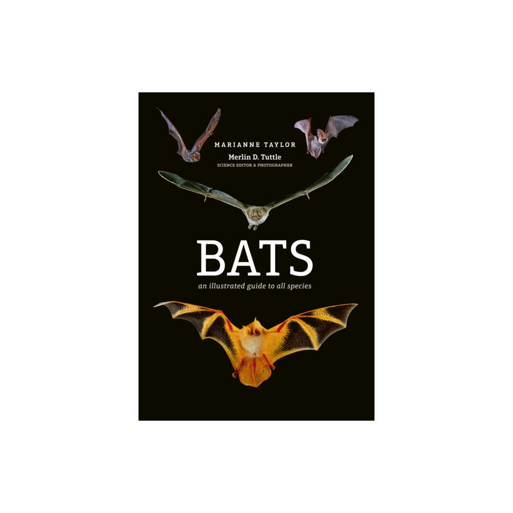 Produktbild för Bats (inbunden, eng)