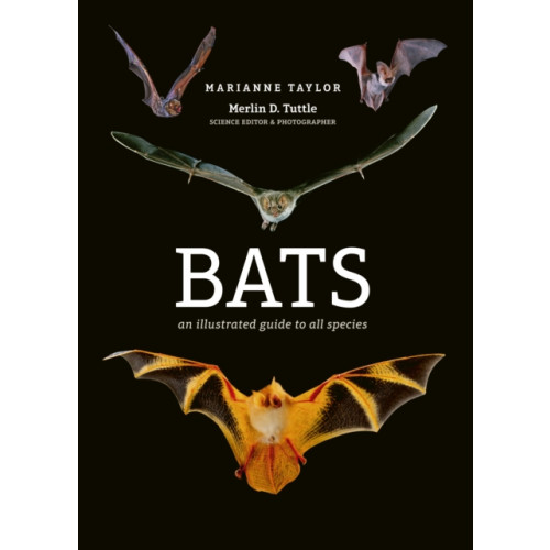 Quarto Publishing Plc Bats (inbunden, eng)