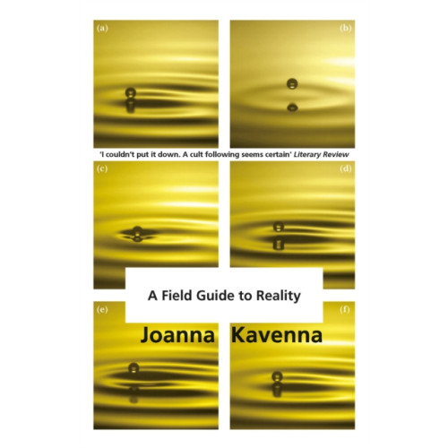 Quercus Publishing A Field Guide to Reality (häftad, eng)