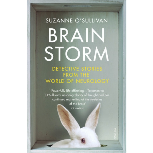 Vintage Publishing Brainstorm (häftad, eng)