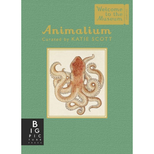 Templar Publishing Animalium (Mini Gift Edition) (inbunden, eng)