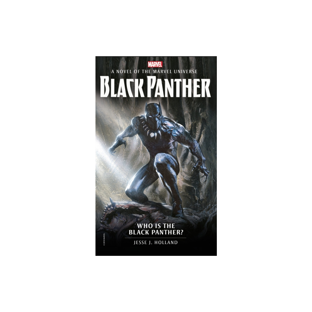 Produktbild för Who is the Black Panther? (häftad, eng)