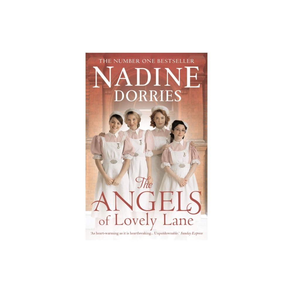 Produktbild för The Angels of Lovely Lane (häftad, eng)