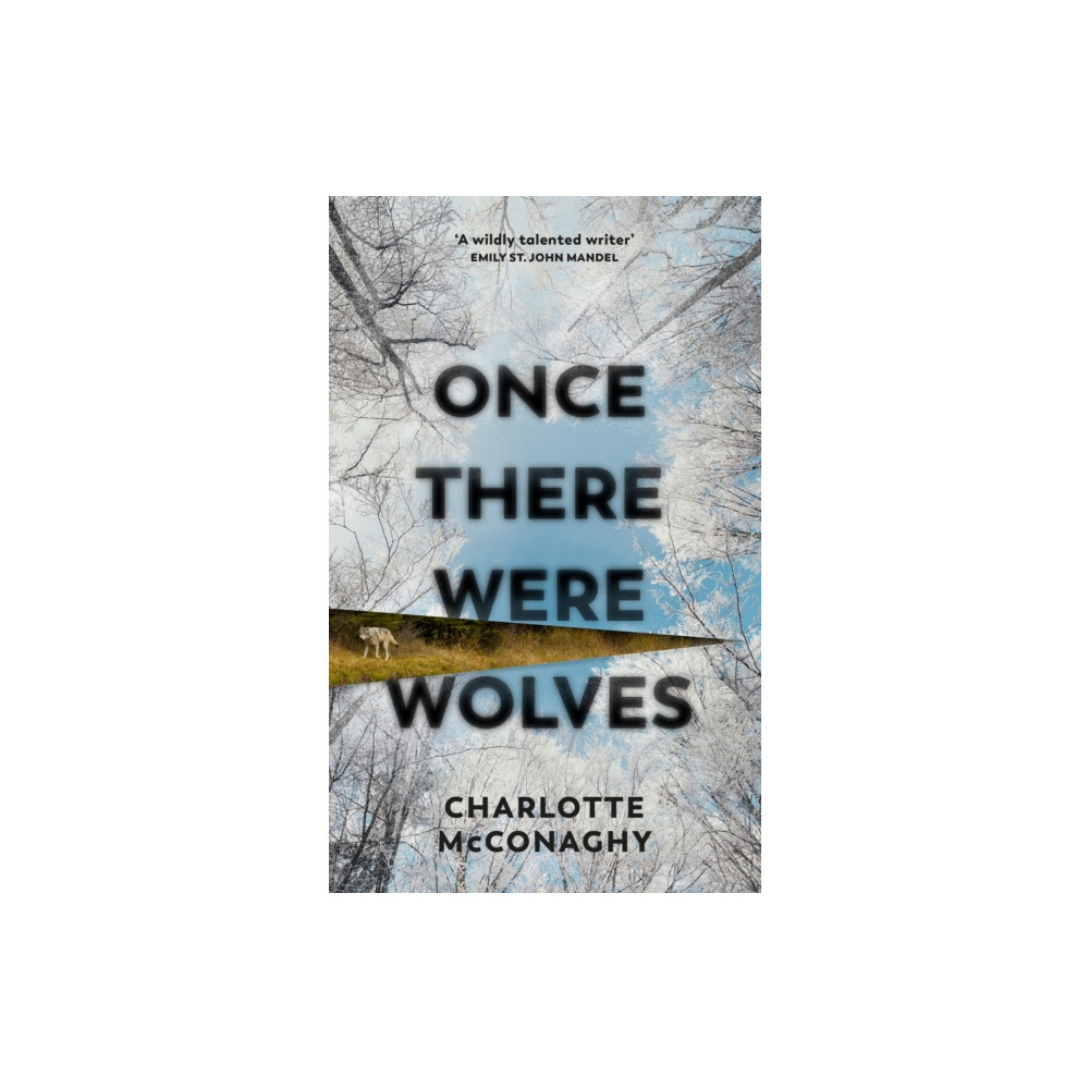 Produktbild för Once There Were Wolves (häftad, eng)