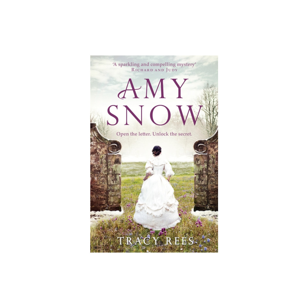 Produktbild för Amy Snow (häftad, eng)