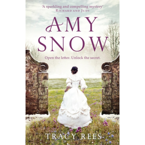 Quercus Publishing Amy Snow (häftad, eng)