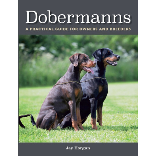 The Crowood Press Ltd Dobermanns (häftad, eng)