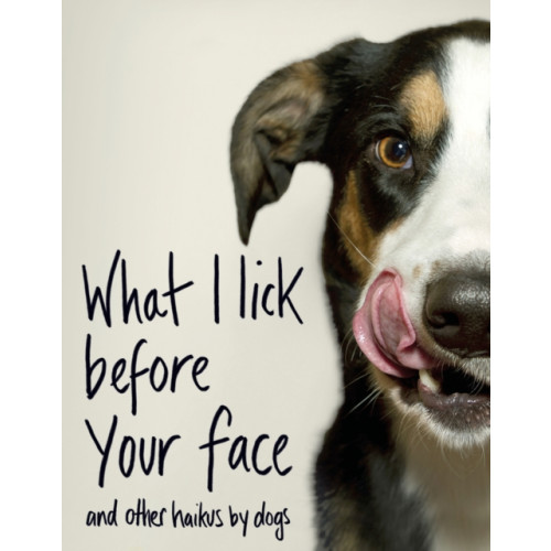 Transworld publishers ltd What I Lick Before Your Face ... and Other Haikus By Dogs (inbunden, eng)
