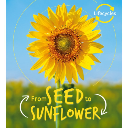 Quarto Publishing Plc Lifecycles: Seed to Sunflower (häftad, eng)