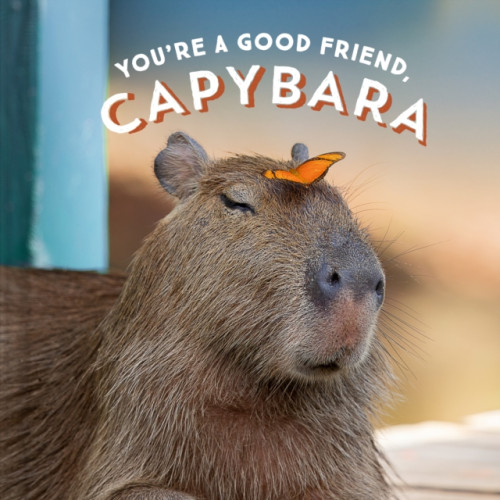 Chronicle Books You're a Good Friend, Capybara (inbunden, eng)