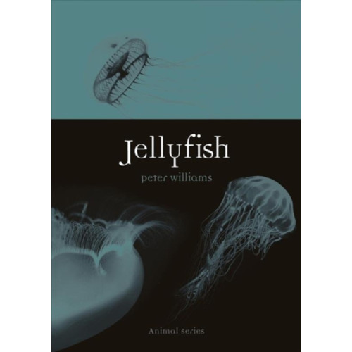 Reaktion Books Jellyfish (häftad, eng)