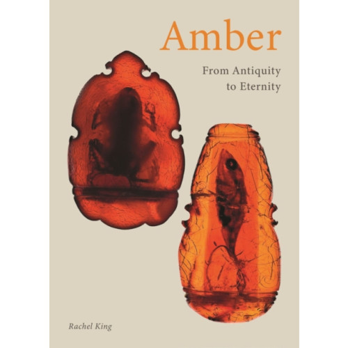 Reaktion Books Amber (inbunden, eng)