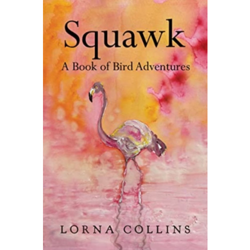 Pegasus Elliot Mackenzie Publishers Squawk: A Book of Bird Adventures (häftad, eng)